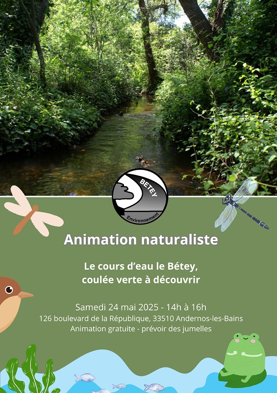 Le cours d'eau le Bétey, coulée verte à découvrir