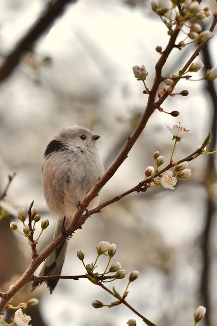 Animation nature : Chez moi la nature est chez ...
