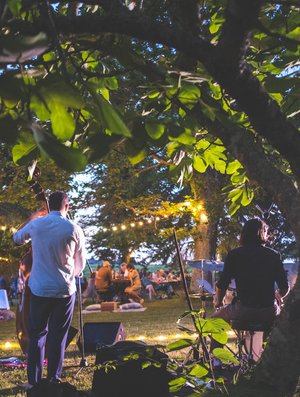 Concert d'électro sax au Château Carsin