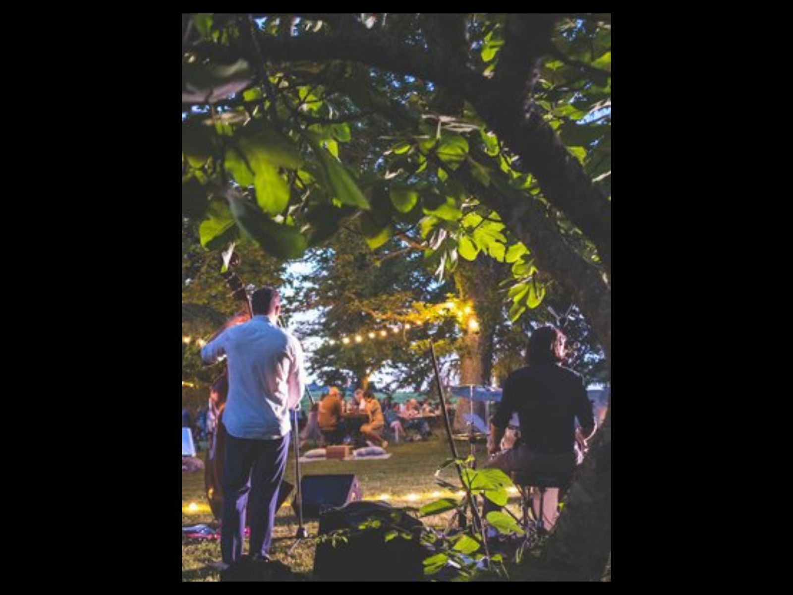 Concert d'électro sax au Château Carsin