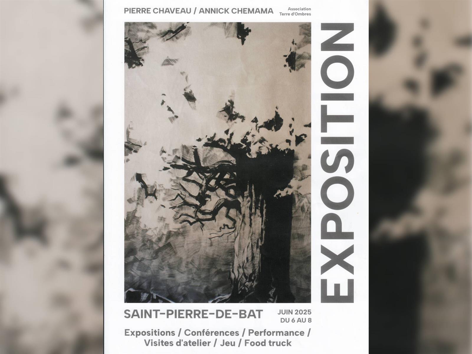 Exposition Pierre Chaveau / Annick Chemama