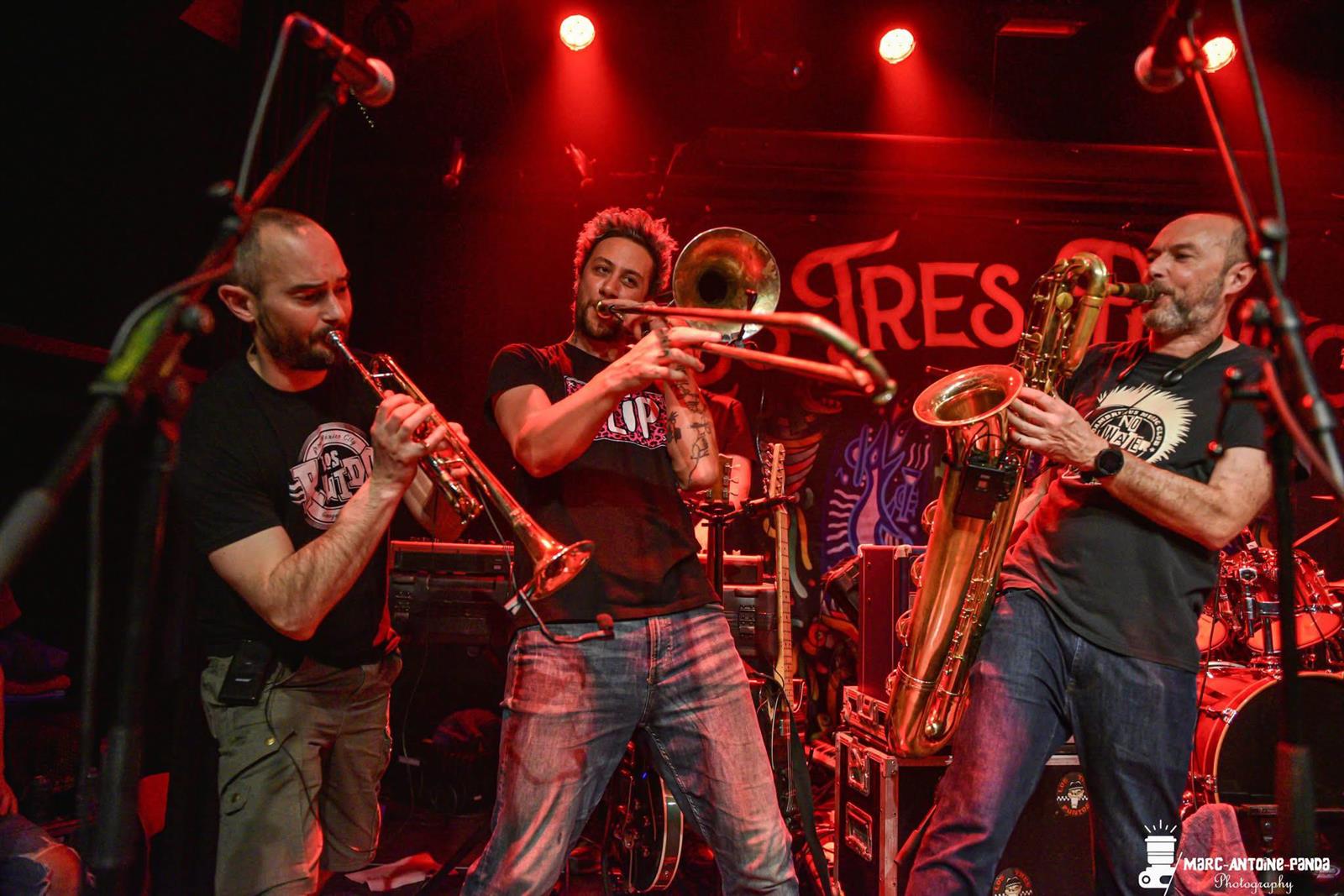 Moamo Festival