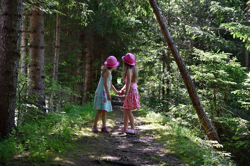 Balade contée Promenons-nous dans les bois