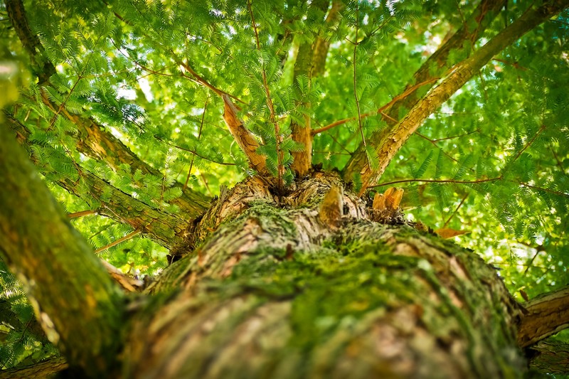 Balade nature sensorielle