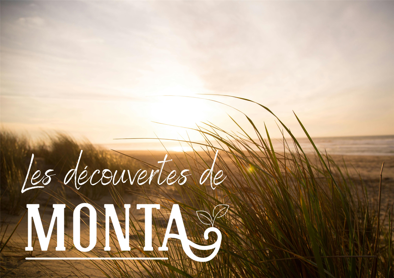À la rencontre des dunes, trésor fragile de no ...