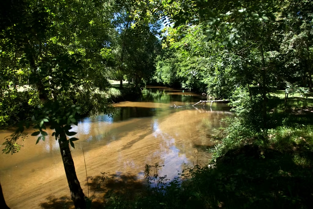 Projection d'un film pour enfant - Au fil de l'eau