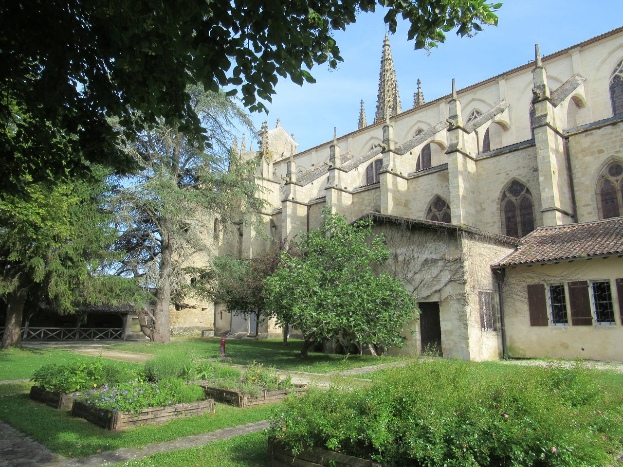 Lectures sur cour au Jardin du Chapitre à Bazas