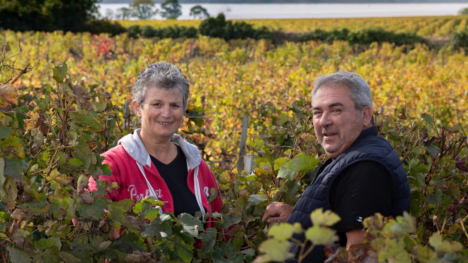 Vinobalade : dînez chez le vigneron au Clos de ...