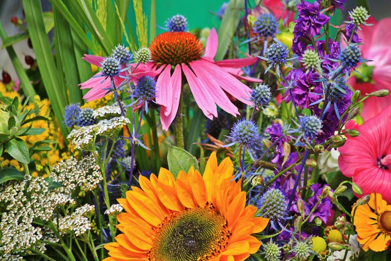 Grande foire florale, artisanale, gastronomiqu ...