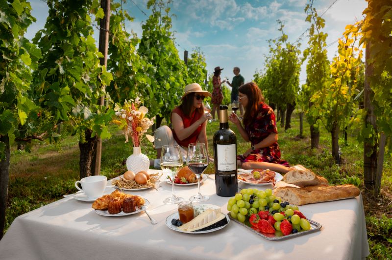 Wine & Brunch dans les châteaux de Blaye Côtes ...