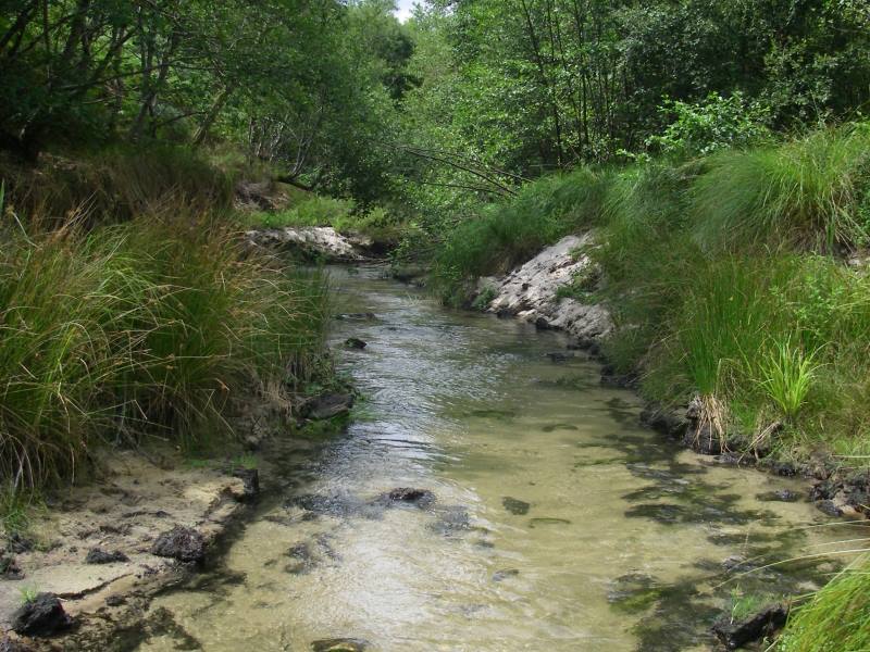 Au fil de l'eau