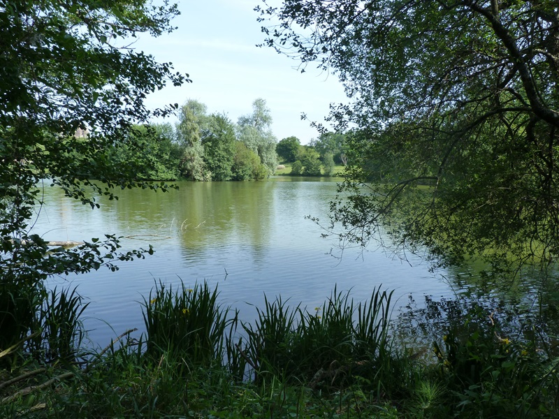 Au fil de l'eau