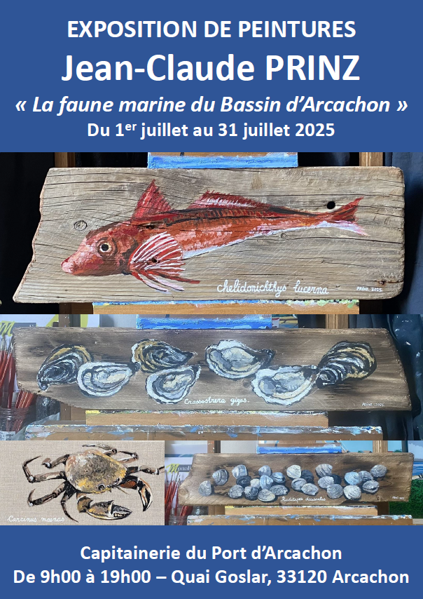 La faune marine du Bassin d'Arcachon