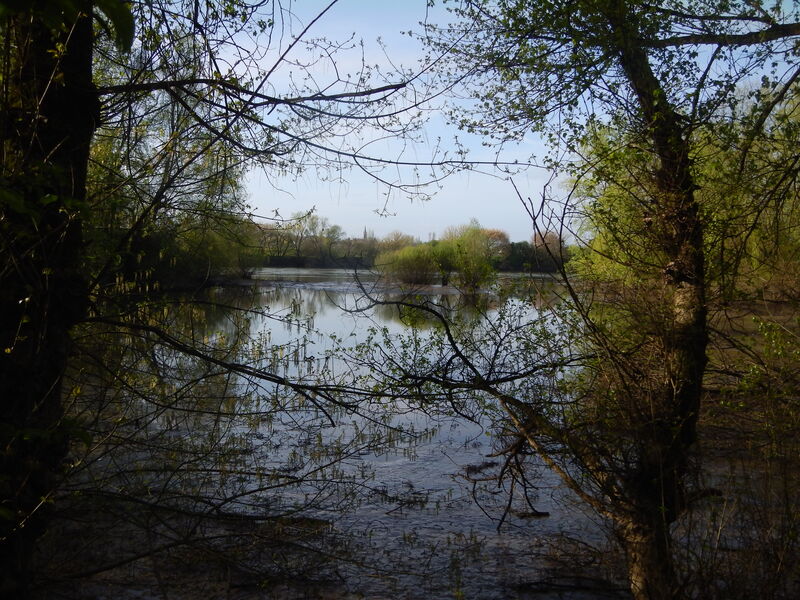 Au fil de la Garonne