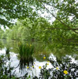 Au fil de l’Eau