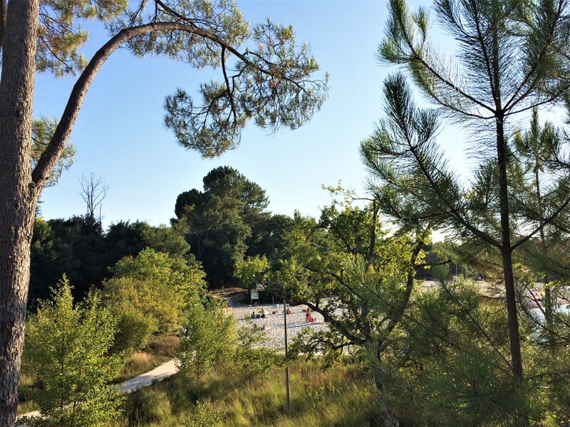 Relais nature - Que nous racontent les fossiles