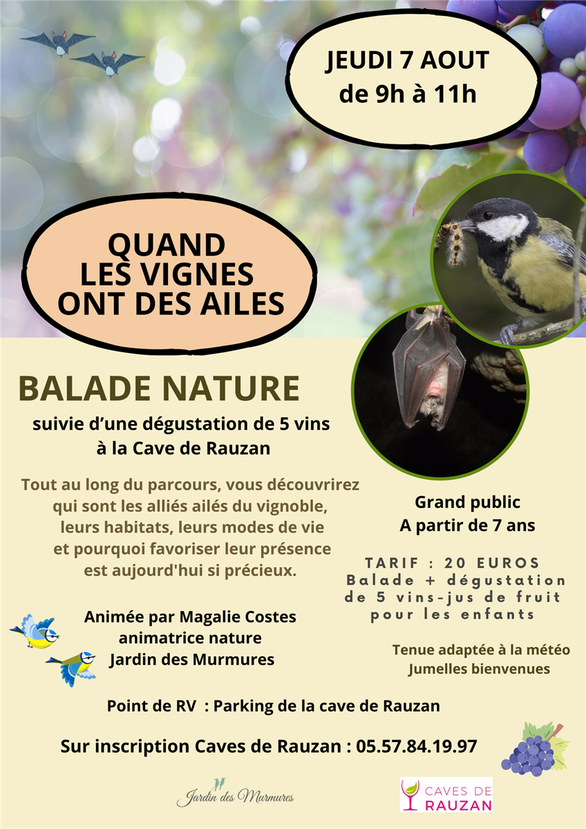 Quand les vignes ont des ailes