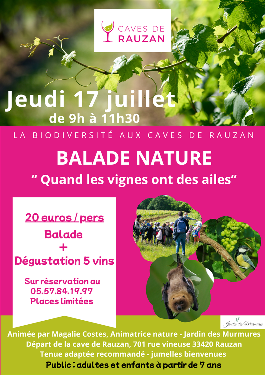 Quand les vignes ont des ailes