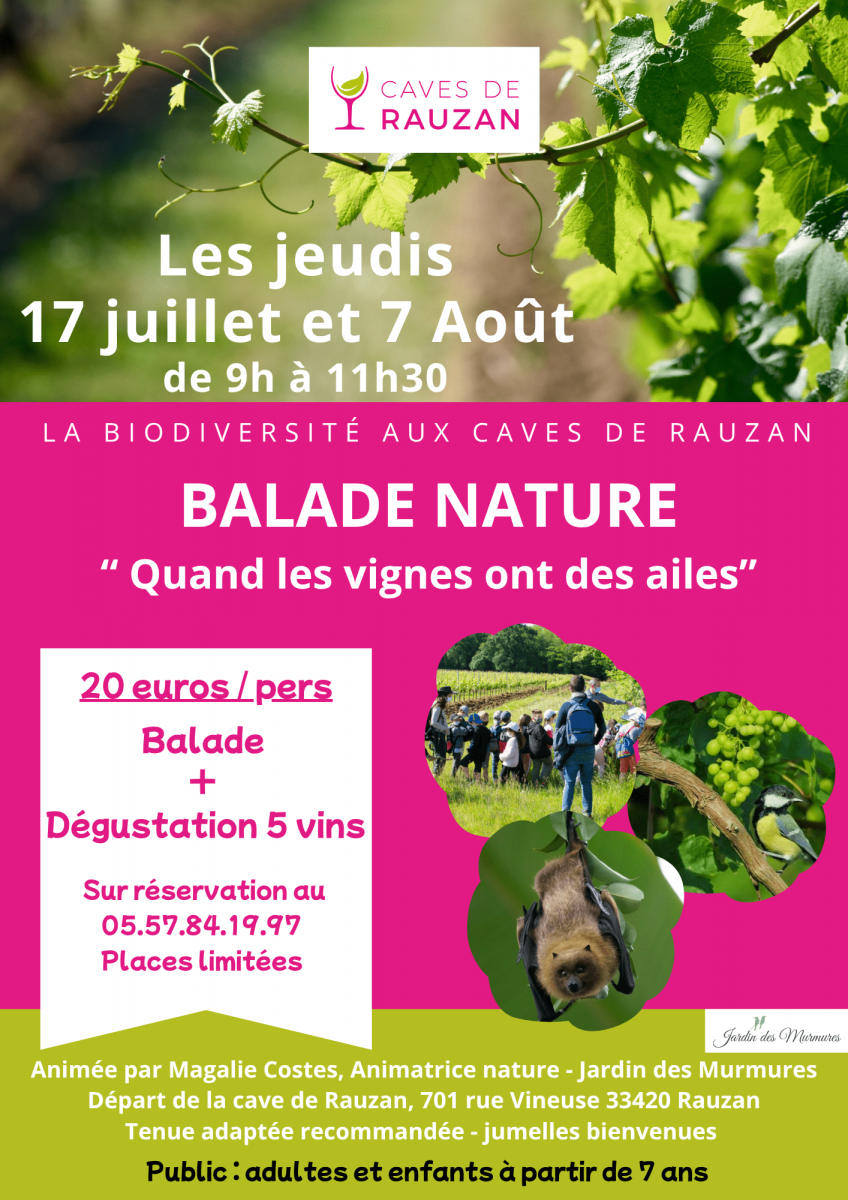 Balade nature - Quand les vignes ont des ailes