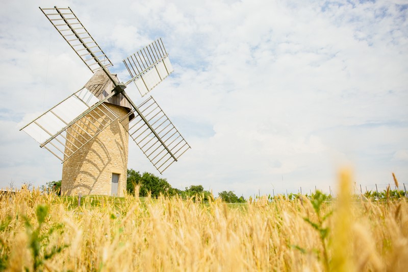 Fête de la moisson - Moulin de Cussol