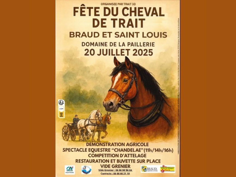 Fête du cheval de trait