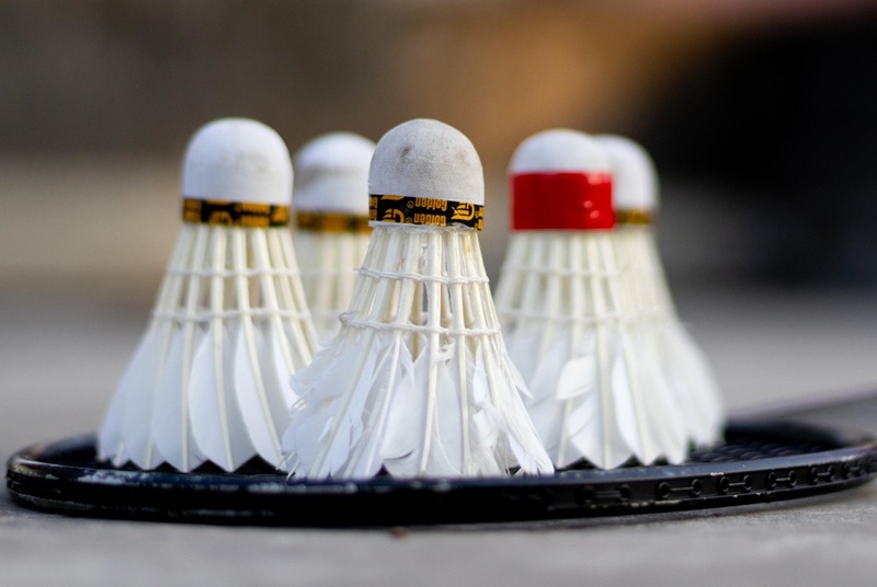 Les Lundis de Cap 33 : Tournois Badminton