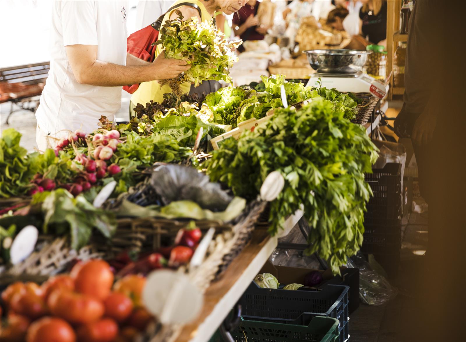 Marché hebdomadaire - Lamarque