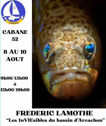 Exposition : Frédéric Lamothe