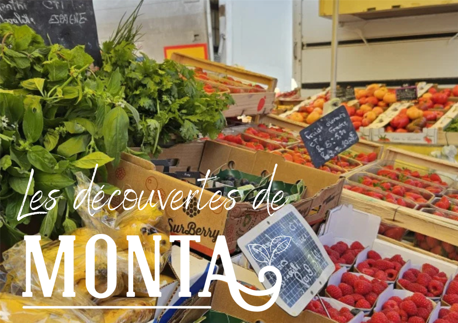 Visite décalée du marché de Montalivet