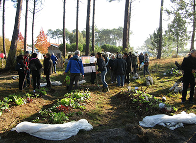 Ateliers de permaculture