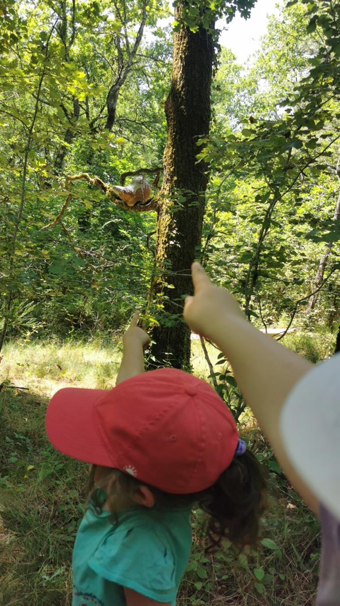 Balade guidée sur le sentier Demain la Double