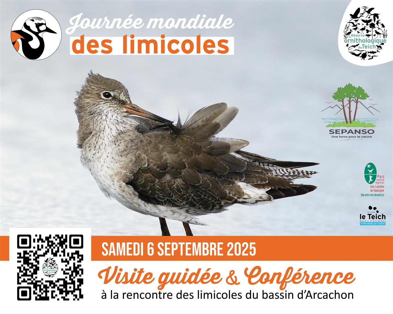 Journée mondiale des limicoles : visite guidée ...