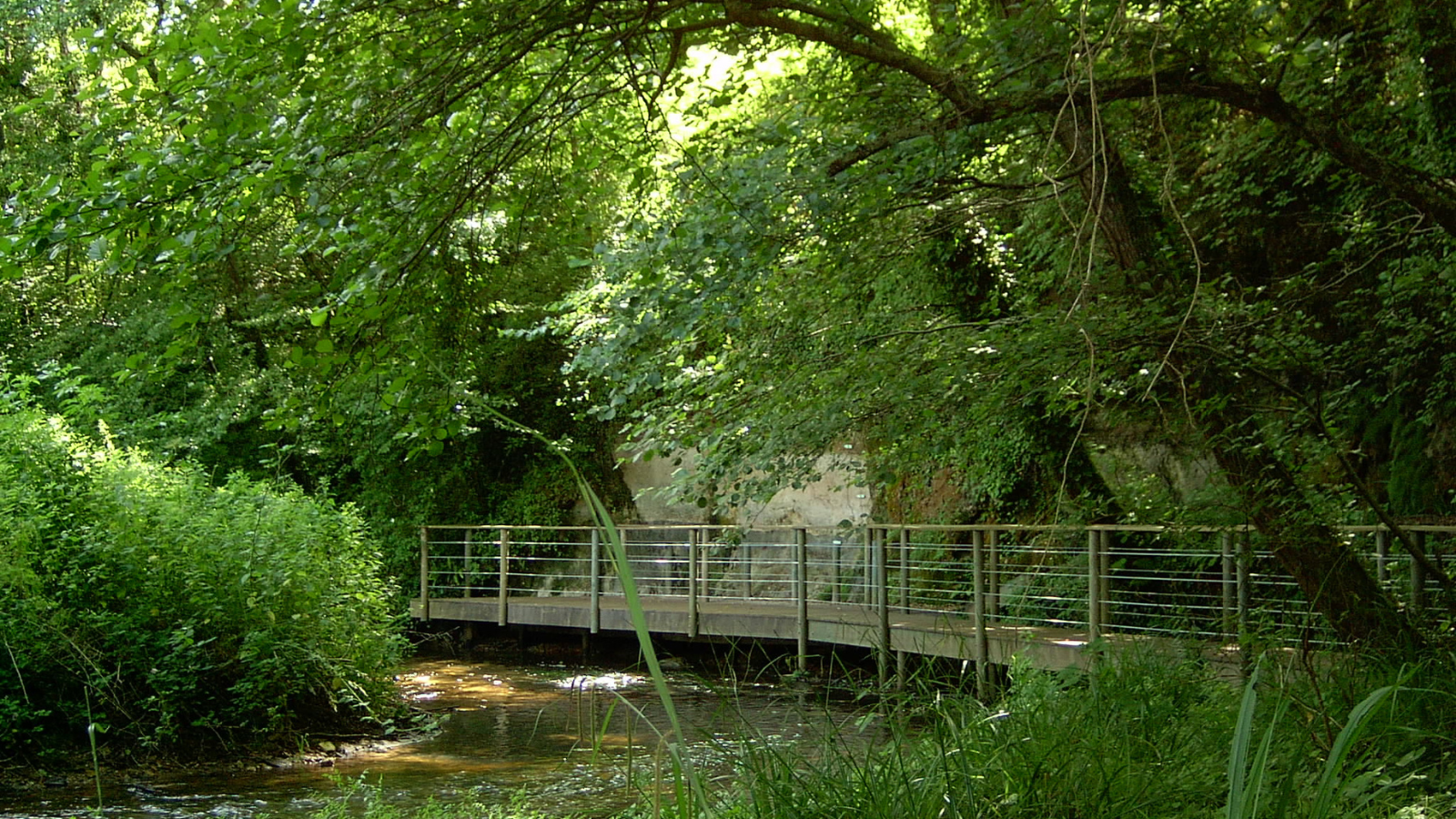 Les ateliers de la forêt