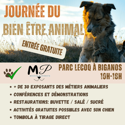 Journée du bien-être animal