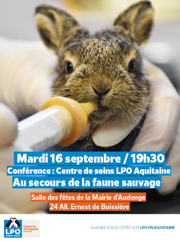 A la découverte du Centre de soins LPO Aquitaine