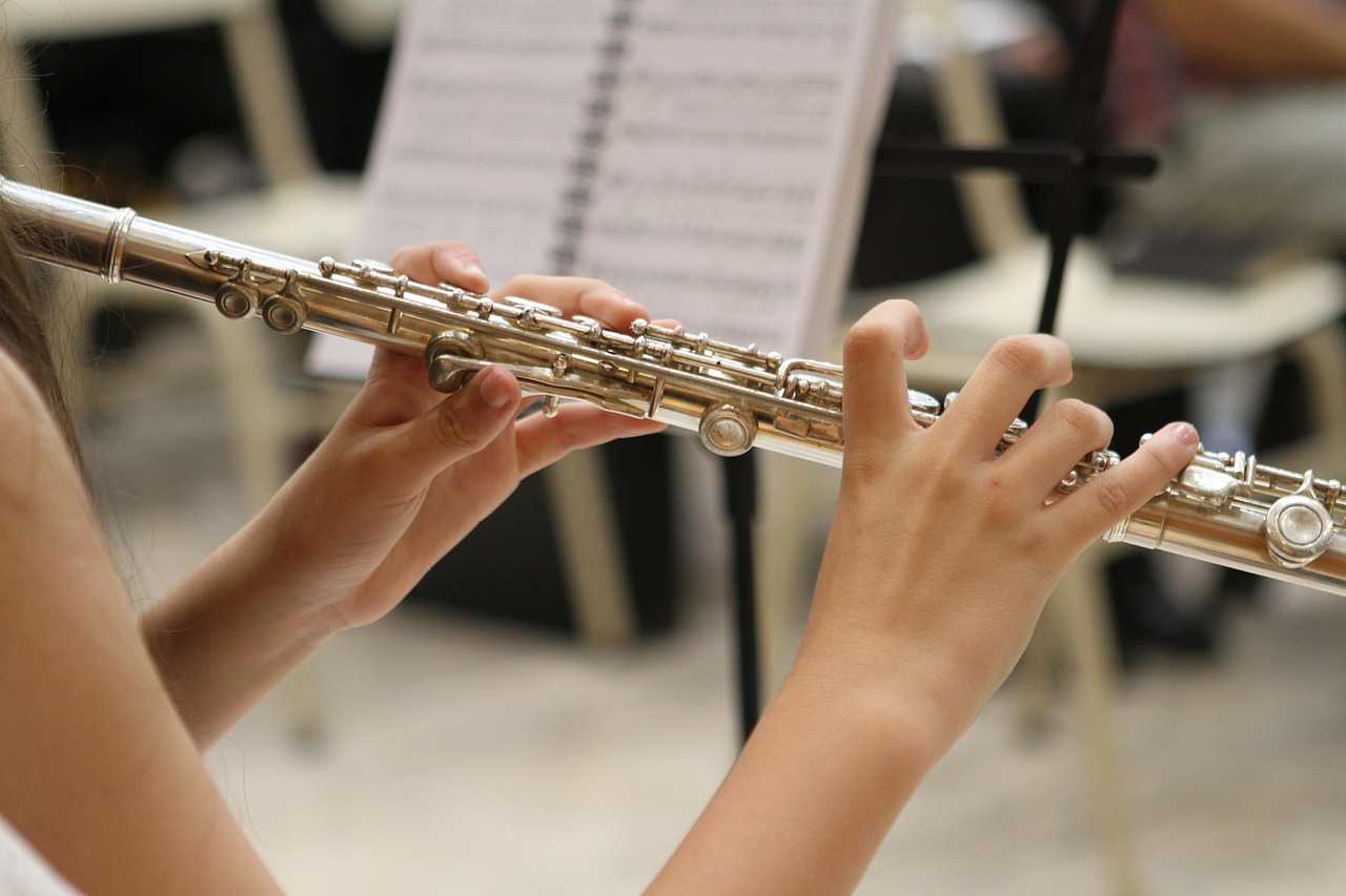 Concert de la ville avec l'Orchestre National  ...