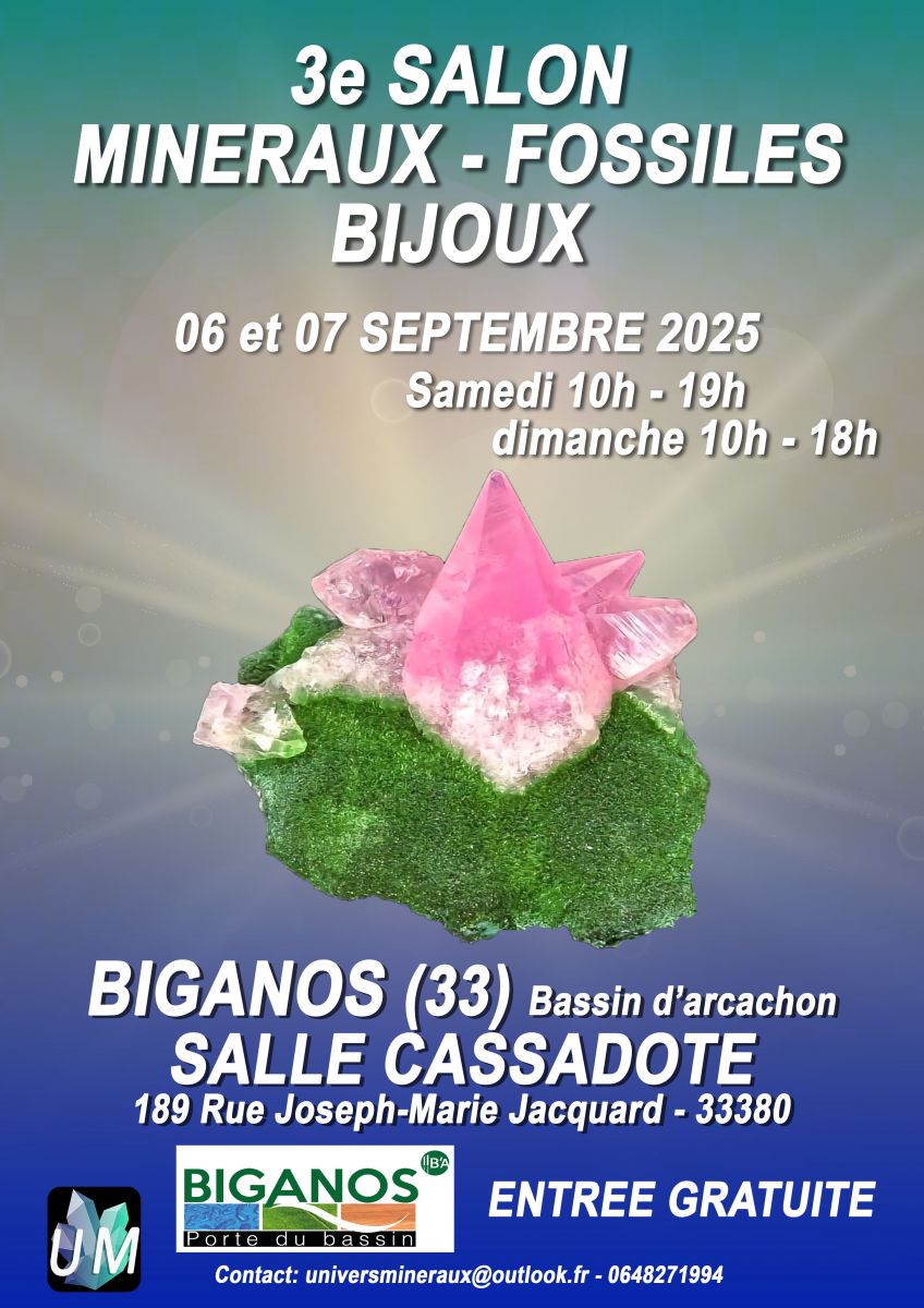 Salon minéraux, fossiles, bijoux de créateur.