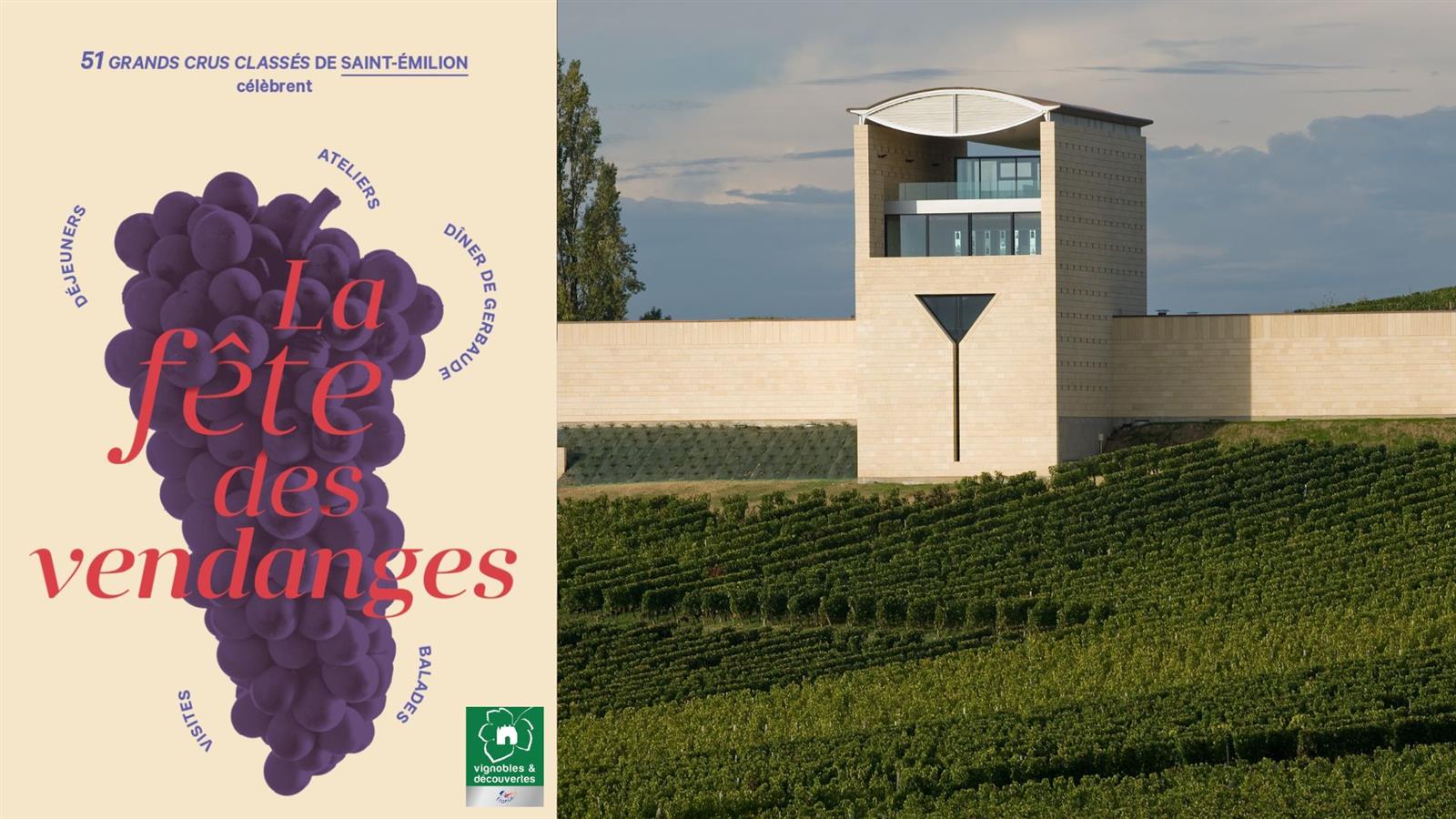 Vendanges D'antan - Vivez l'héritage d'une par ...