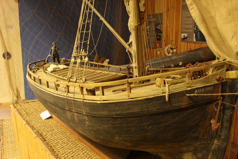Visite du centre d'interprétation de l'estuaire