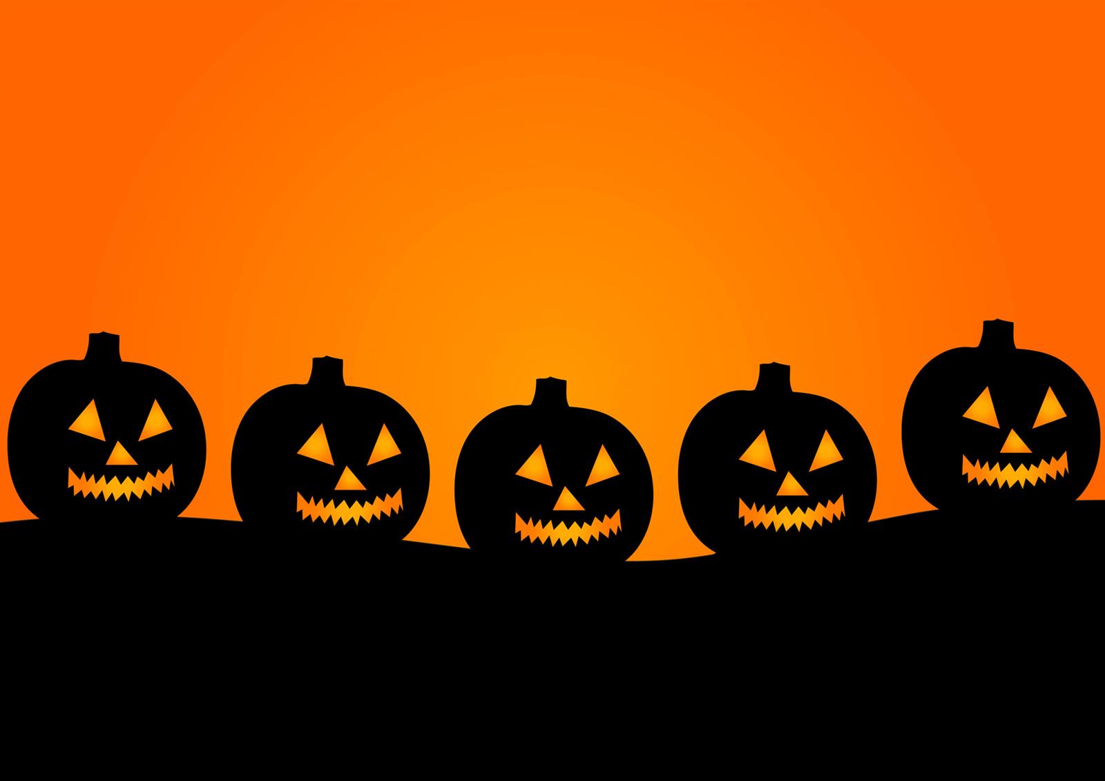 Halloween à la Maison du Tourisme et du Vin de ...
