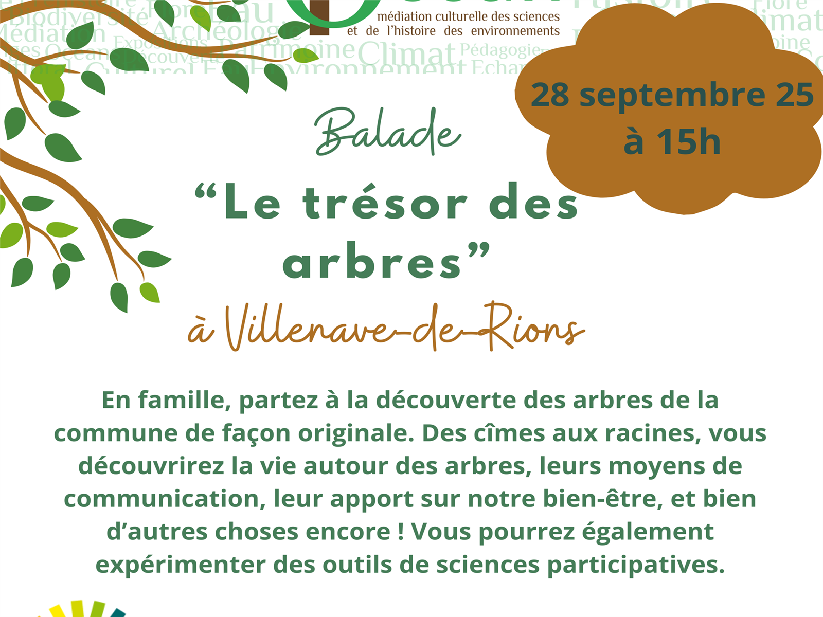 Balade « Le trésor des arbres »