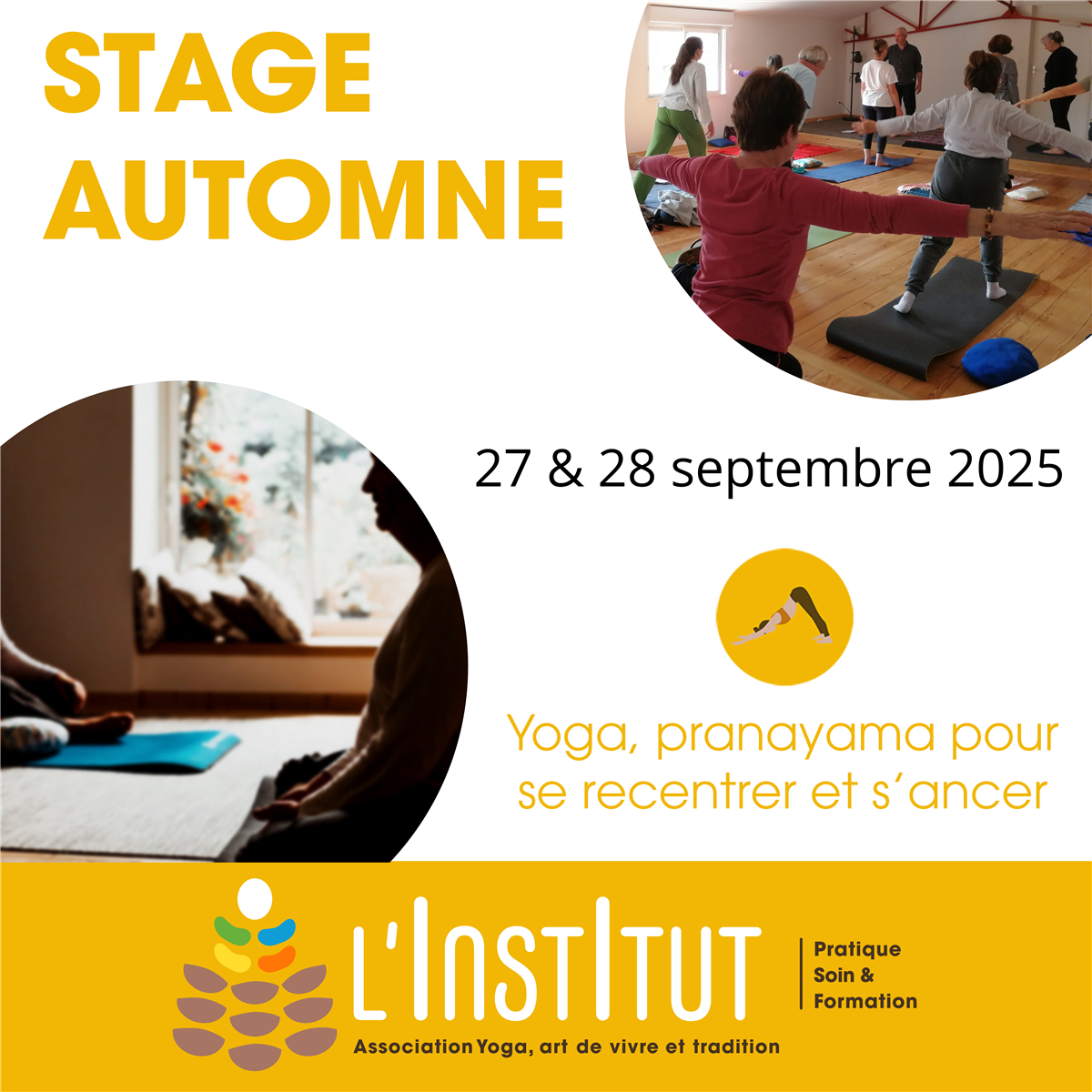 Stage d'automne Yoga