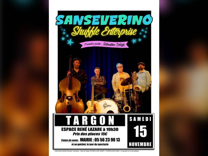 Sanseverino Shuffle Entreprise