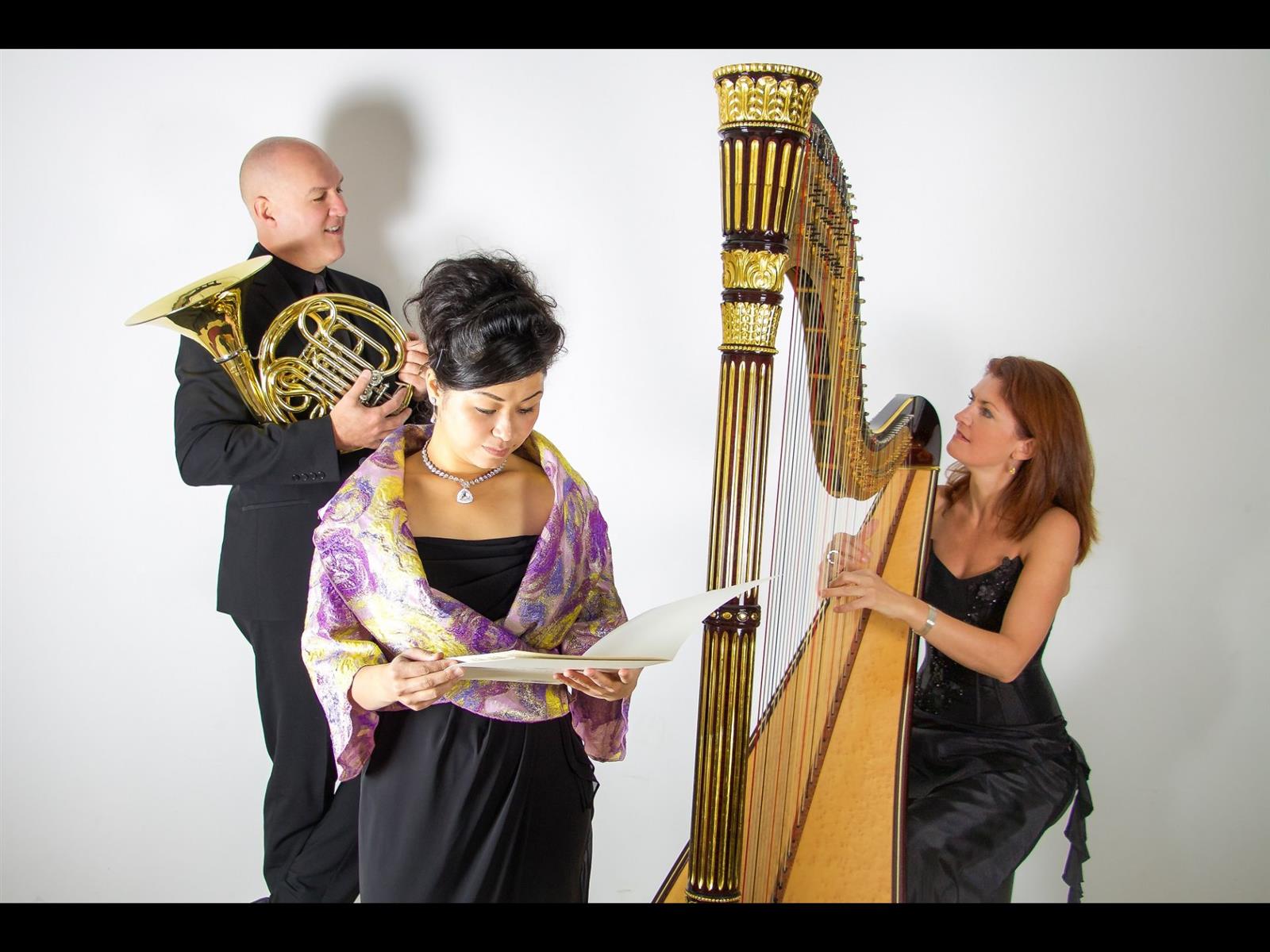 Concert Trio Sonans