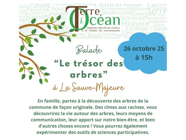 Balade « Le trésor des arbres » à La Sauve