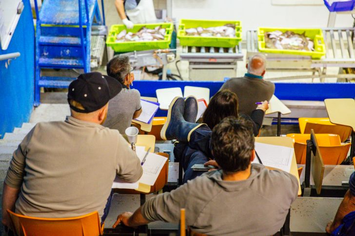 Ici, nos savoir-faire - Visite de la criée d'A ...