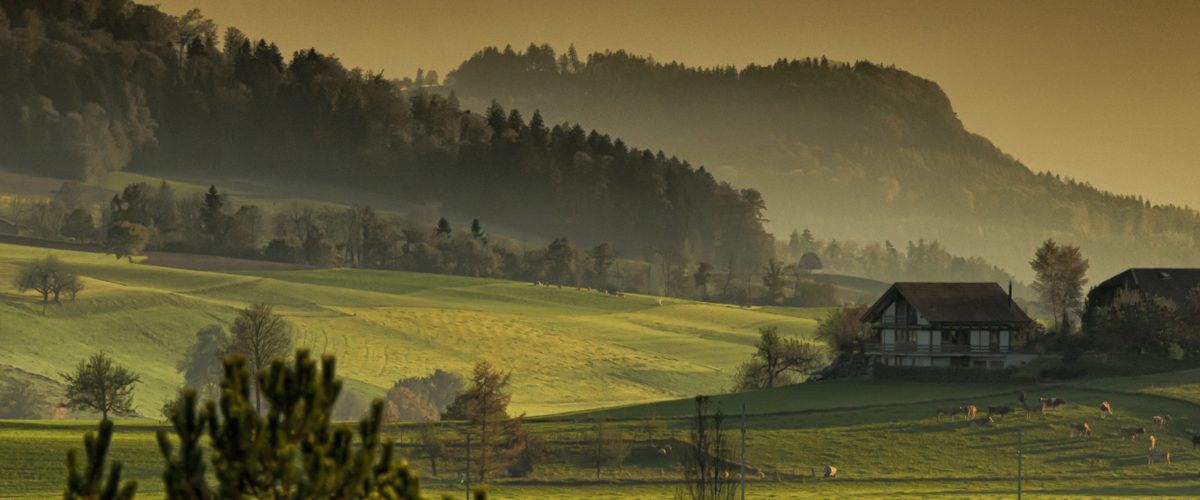 Il était une fois des arbres et des hommes