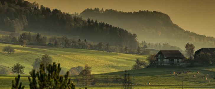 Il était une fois des arbres et des hommes