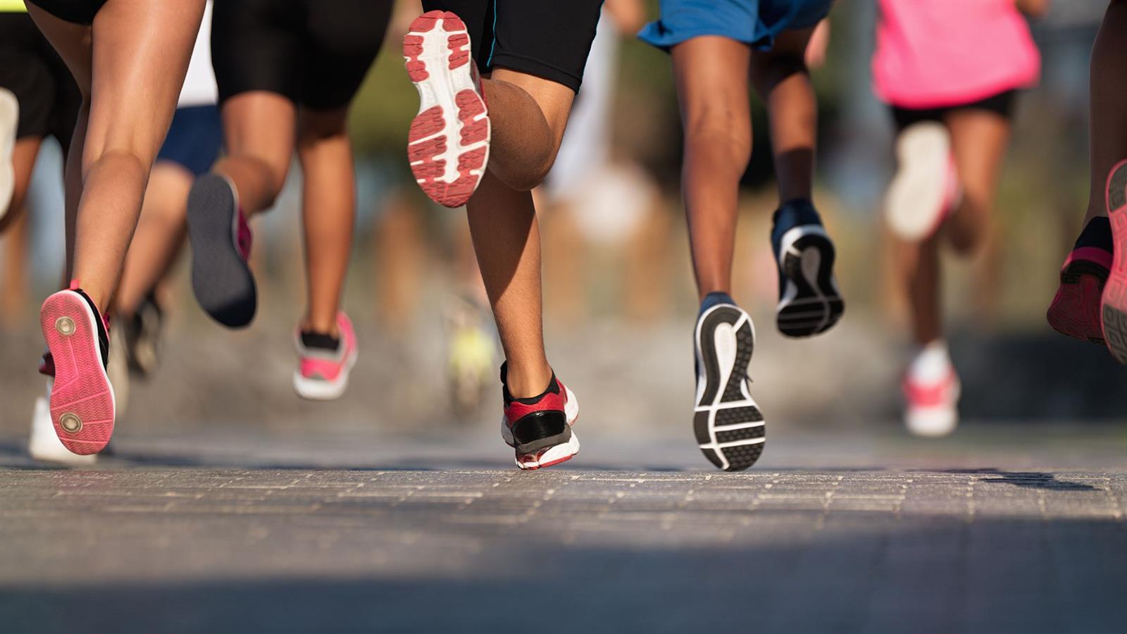 10 km d'Arcachon