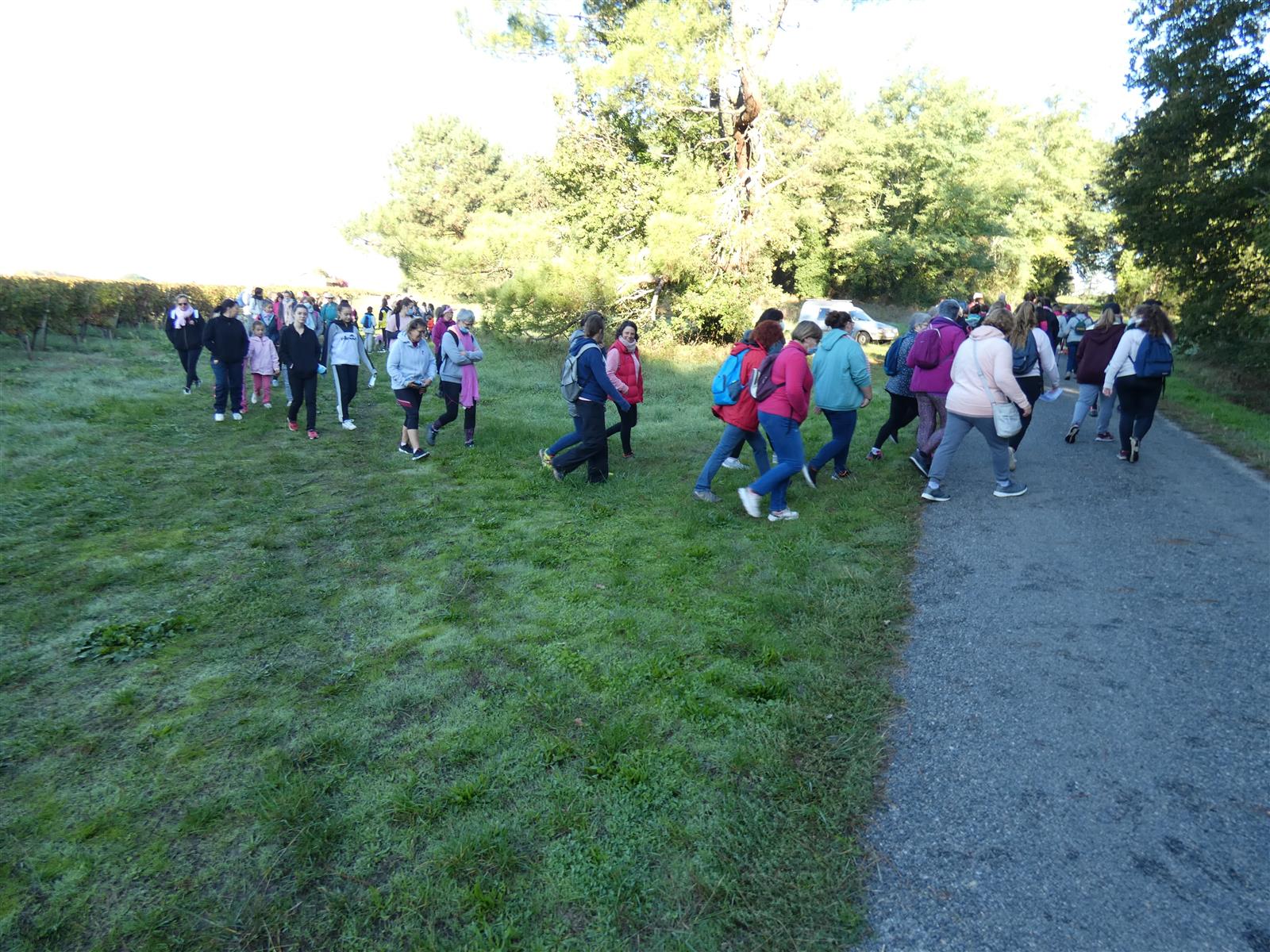 Marche rose pour le dépistage du cancer du sei ...